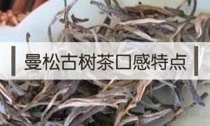 2020年曼松古樹茶特點(diǎn)